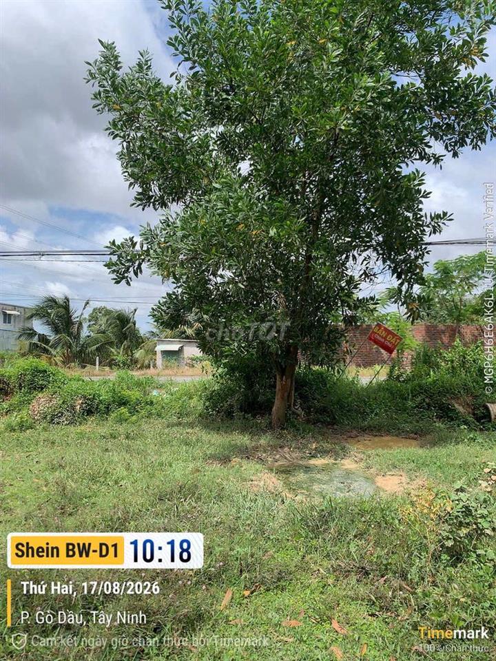 Cần bán Đất Gò Dầu- Tây Ninh 183,8m2
