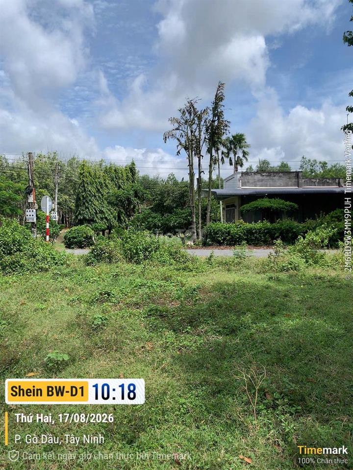Cần bán Đất Gò Dầu- Tây Ninh 183,8m2