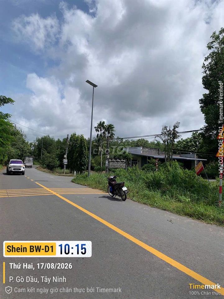Cần bán Đất Gò Dầu- Tây Ninh 183,8m2
