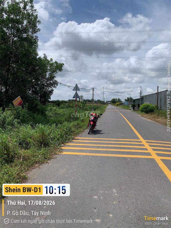 Cần bán Đất Gò Dầu- Tây Ninh 183,8m2