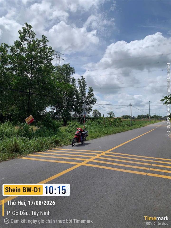 Cần bán Đất Gò Dầu- Tây Ninh 183,8m2