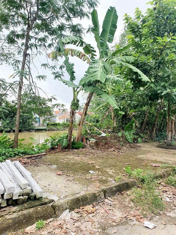 Bán nền