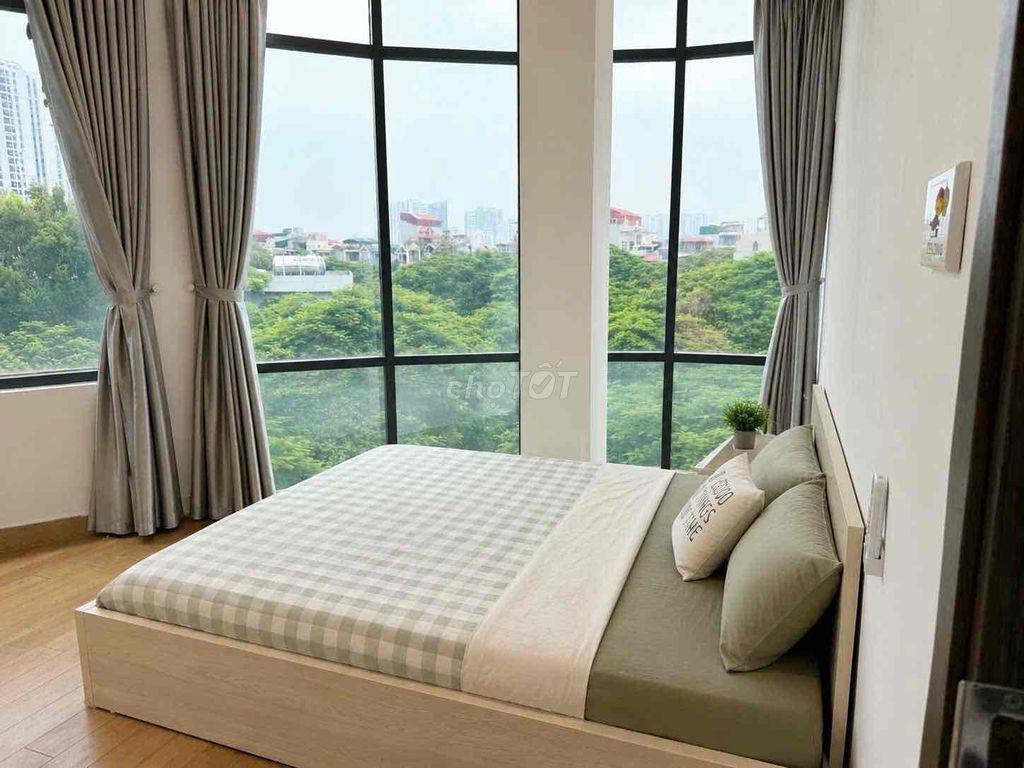phòng 1N1K tại CÔNG VIÊN ĐỀN LỪ 1