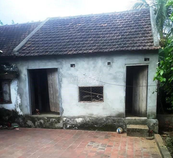 Nhà cổ giá sinh viên