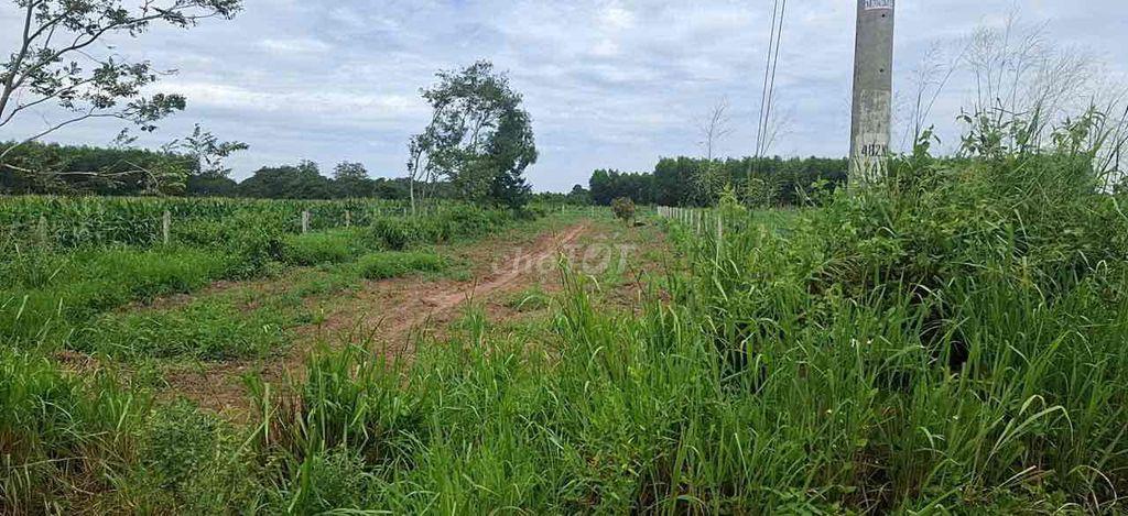 Bán đất Bà Rịa- Vũng Tàu