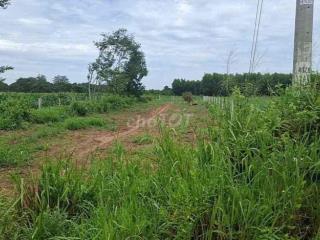 Bán đất Bà Rịa- Vũng Tàu