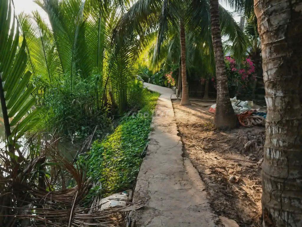 9200m2 Vườn Dừa Tơ