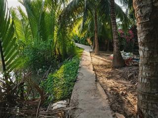 9200m2 Vườn Dừa Tơ