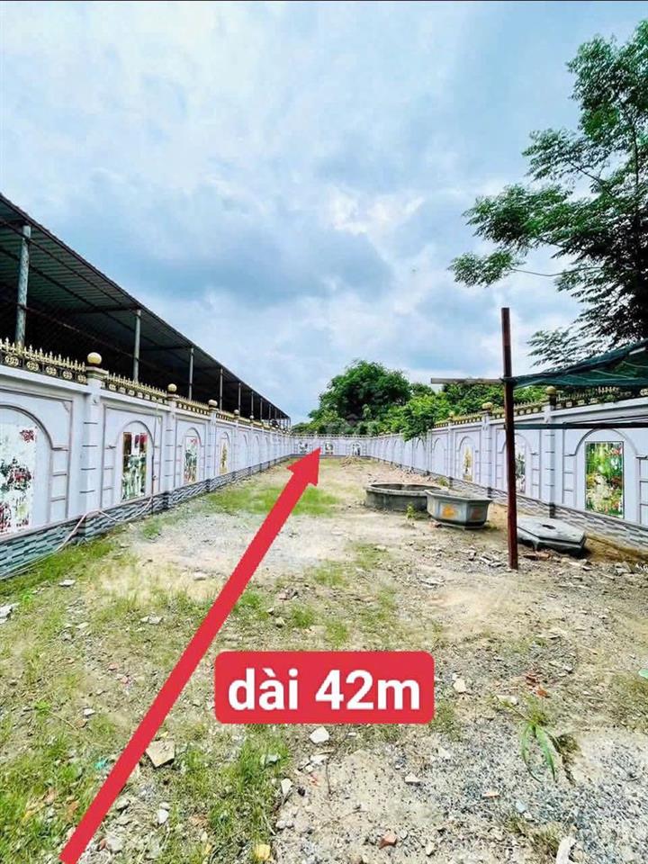 ĐẤT NGỘP GẦN CHỢ VIỆT KIỀU 9 X42 FULL THỔ SỔ RIÊNG 789 TRIỆU CÒN BỚT