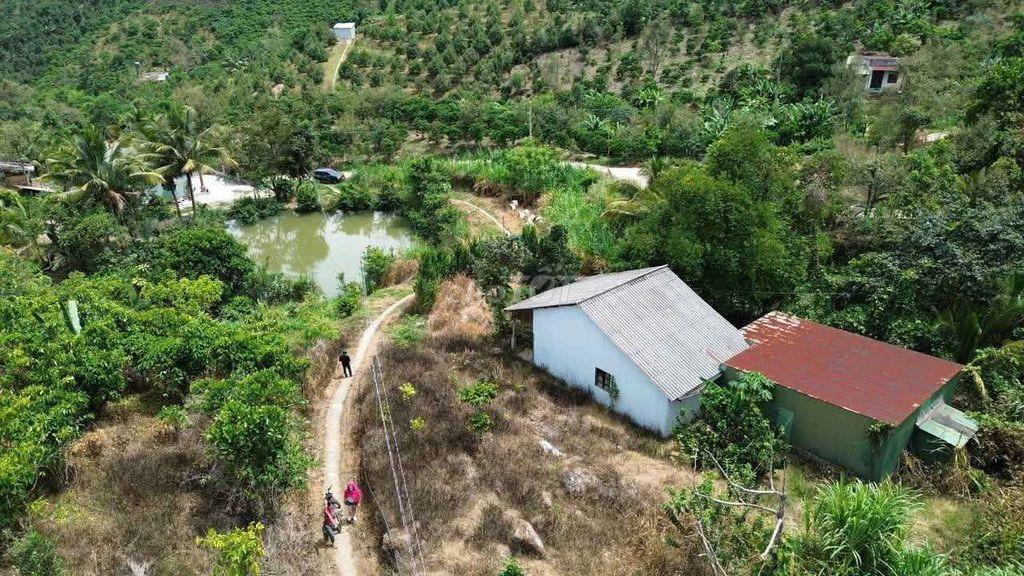 Bán Đất Lộc Thành