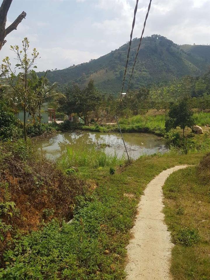 Bán Đất Lộc Thành