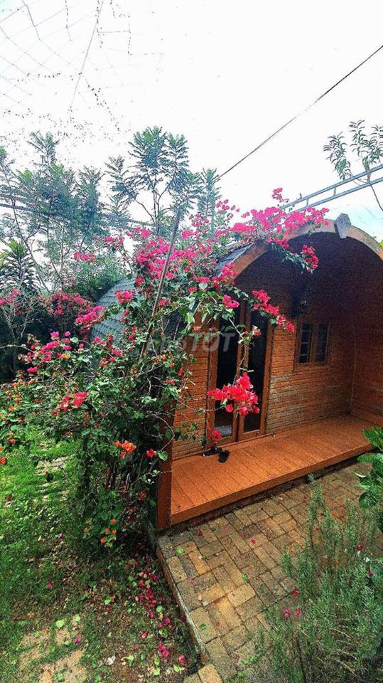 Cho thuê kinh doanh Homestay