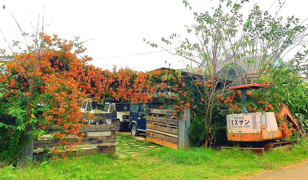 Cho thuê kinh doanh Homestay