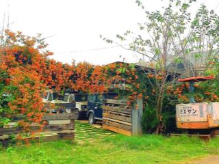 Cho thuê kinh doanh Homestay