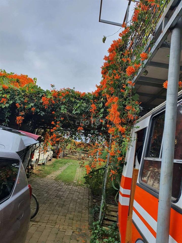 Cho thuê kinh doanh Homestay