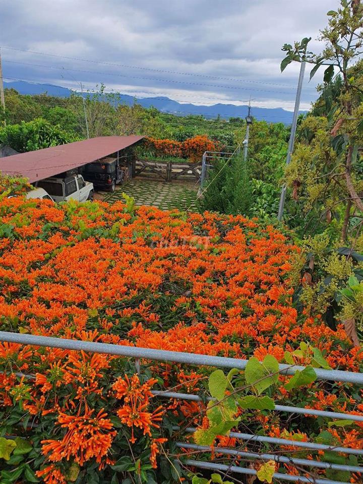 Cho thuê kinh doanh Homestay