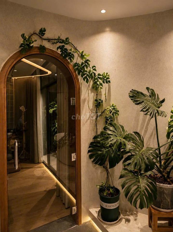 Nhà phố mặt tiền Đặng Thế Phong, cạnh trường TH Tân Sơn  Nhì
