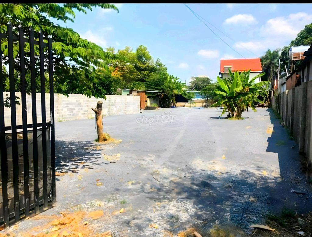 ĐẤT VƯỜN BIỆT THỰ PHƯỜNG TÂN TRIỀU GIÁ RẺ , THỔ CƯ BÁN GẤP  