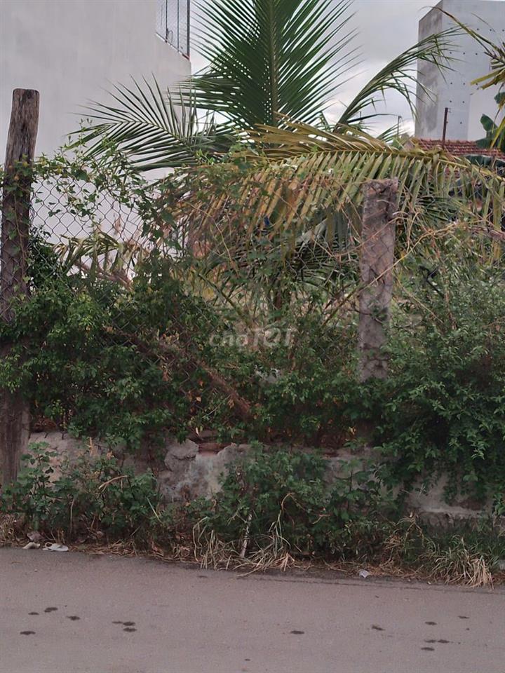Cần bán gấp