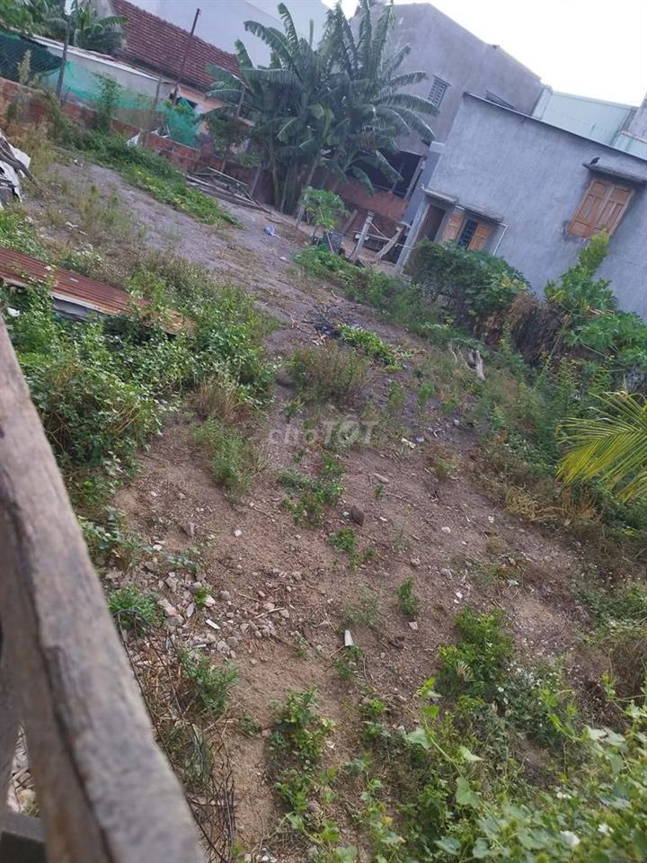 Cần bán gấp