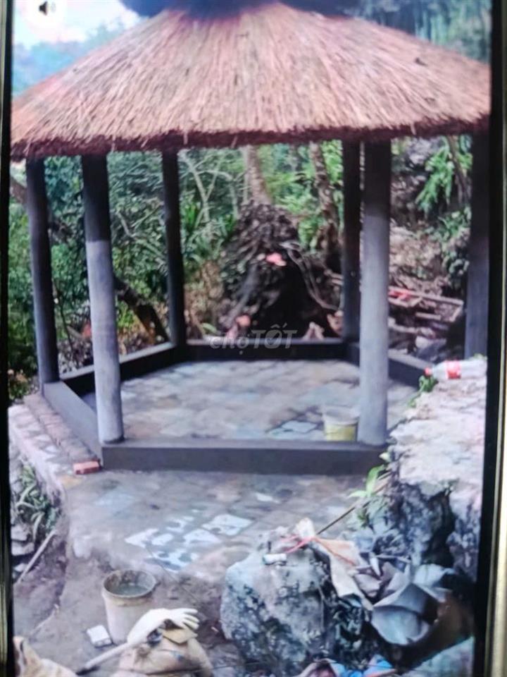Cho thuê nhà sàn sinh thái kinh doanh