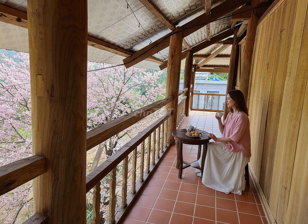 Cho thuê nhà sàn sinh thái kinh doanh