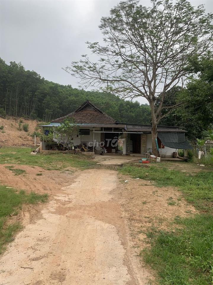 Bán trang trại có sổ riêng