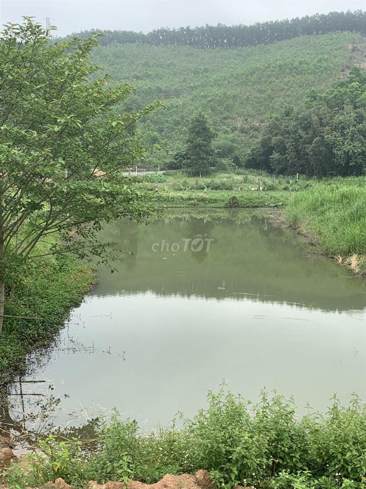 Bán trang trại có sổ riêng