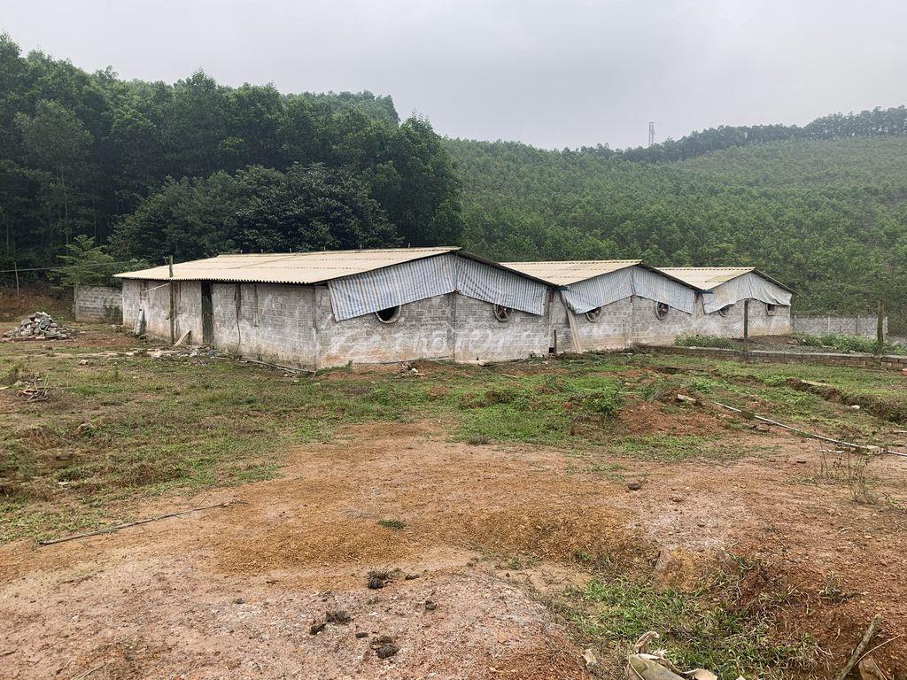 Bán trang trại có sổ riêng