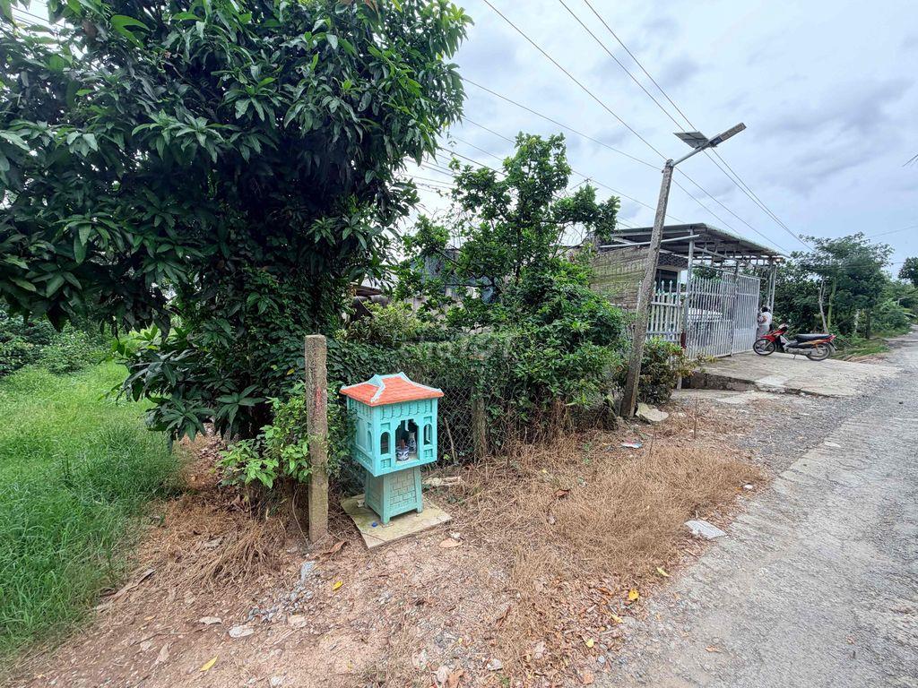 cần bán 2 căn nhà và 9 công vườn mít đang lấy trái