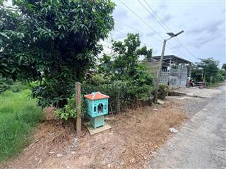 cần bán 2 căn nhà và 9 công vườn mít đang lấy trái