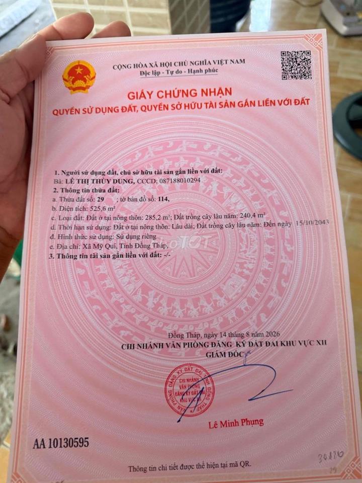 cần bán 2 căn nhà và 9 công vườn mít đang lấy trái