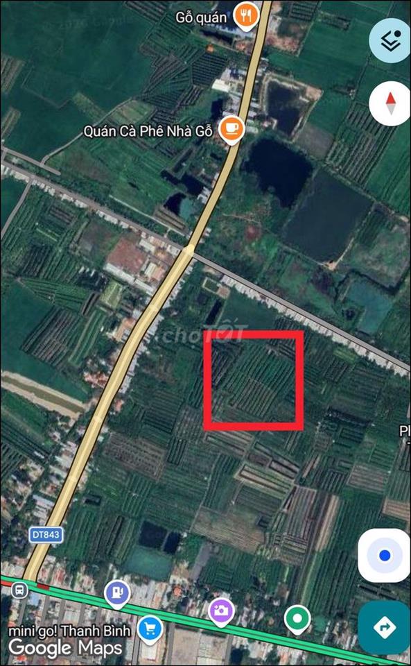 BÁN 27công Đất vườn xoài hoà lộc 8 năm tuổi