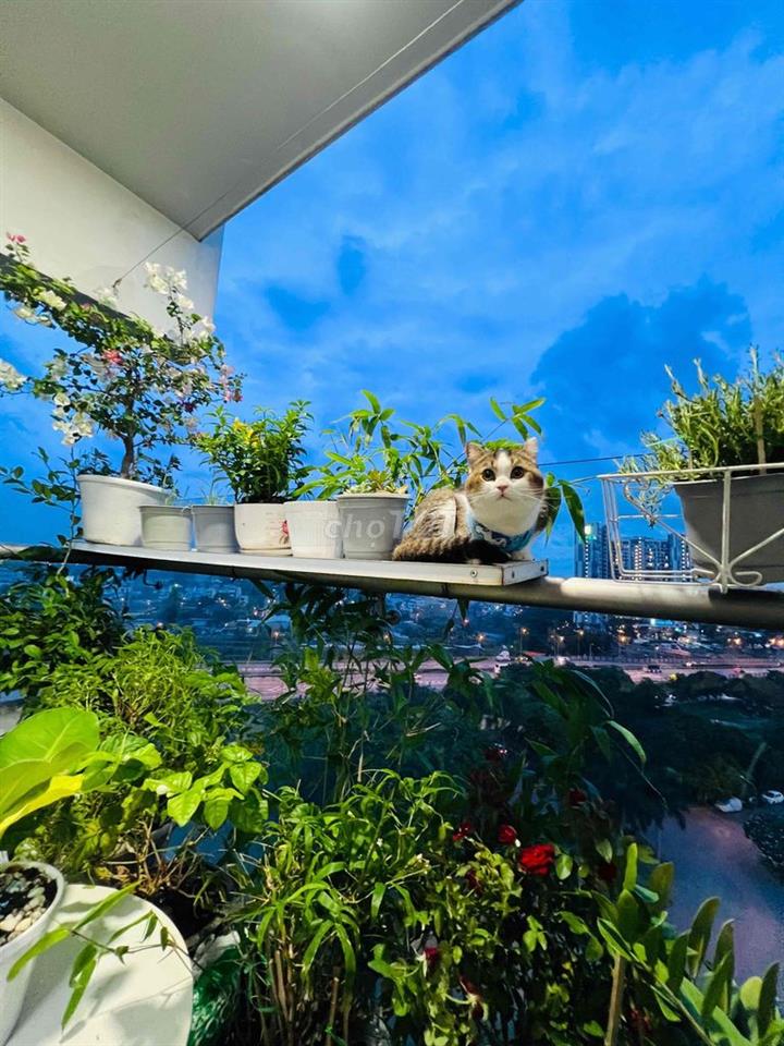 Cần bán căn góc view đẹp giá tốt