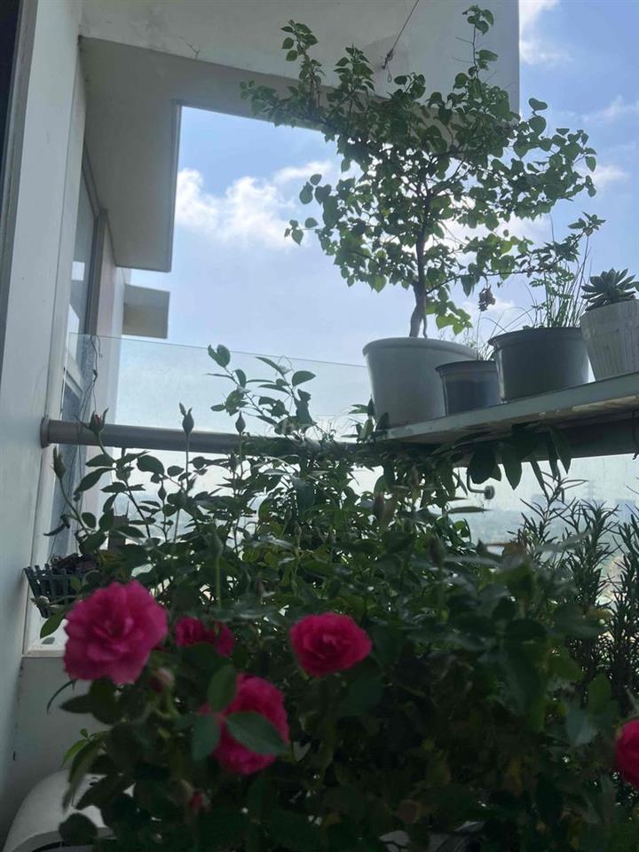 Cần bán căn góc view đẹp giá tốt