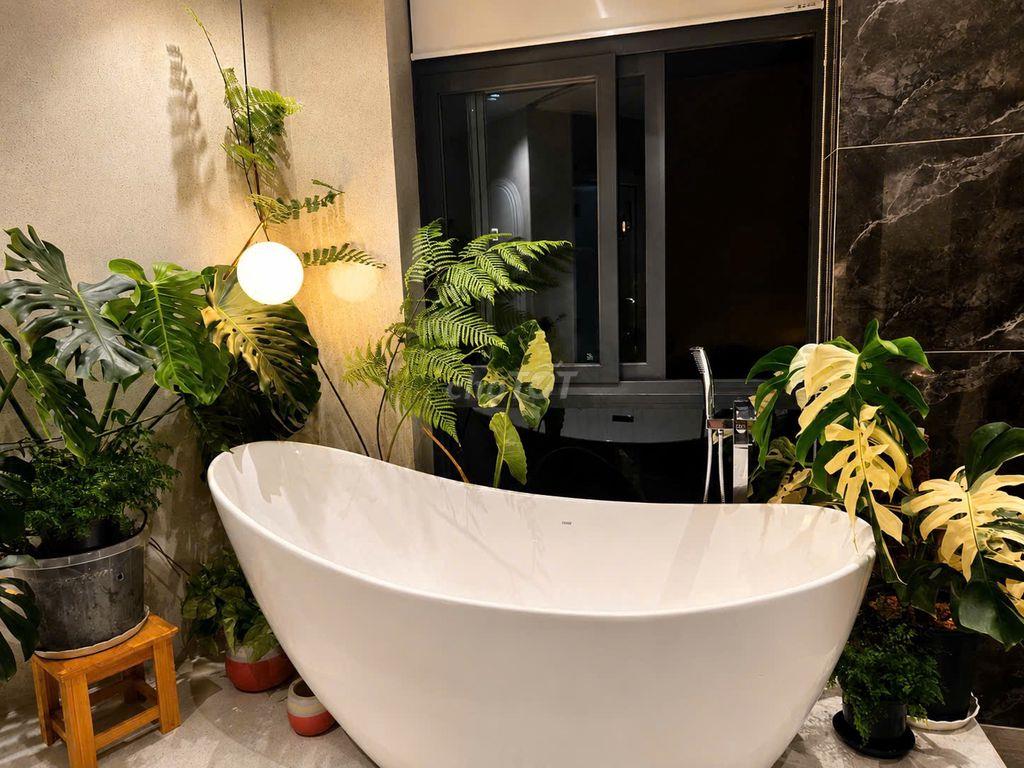 🏡 NHÀ ĐẸP ĐẶNG THẾ PHONG – KHÔNG GIAN SỐNG XANH GIỮA LÒNG THÀNH PHỐ