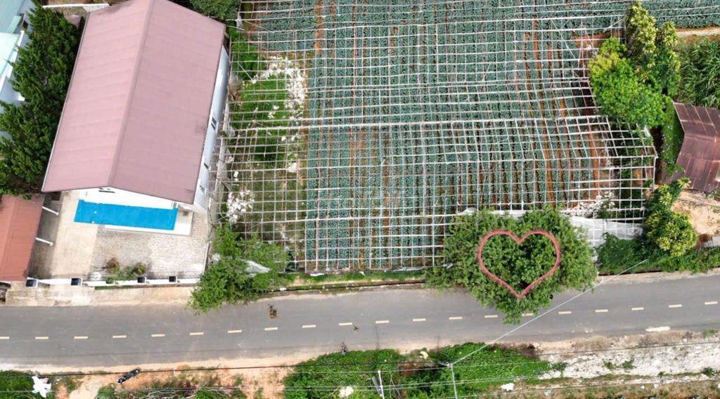 "Đất Mặt Tiền Đường Đa Phú, Phường Lang Biang - Đà Lạt - Lâm Đồng