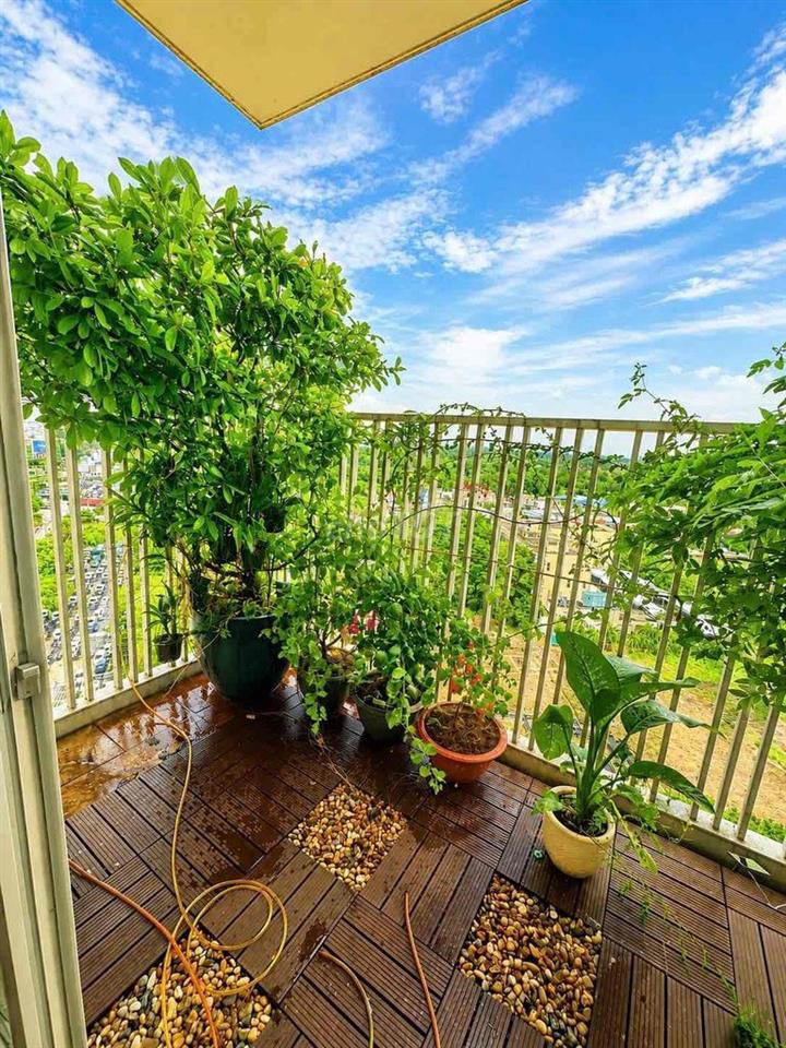CHO THUÊ CĂN HỘ CANARY HEIGHTS – BLOCK C