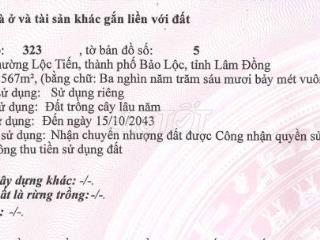 Cắt lỗ - Bán đất Lộc Tiến, Bảo Lộc, Lâm Đồng (thương lượng)