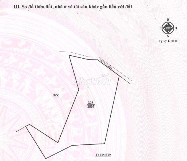 Cắt lỗ - Bán đất Lộc Tiến, Bảo Lộc, Lâm Đồng (thương lượng)