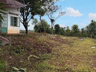 Bán đất cà phê con nhà cấp 4