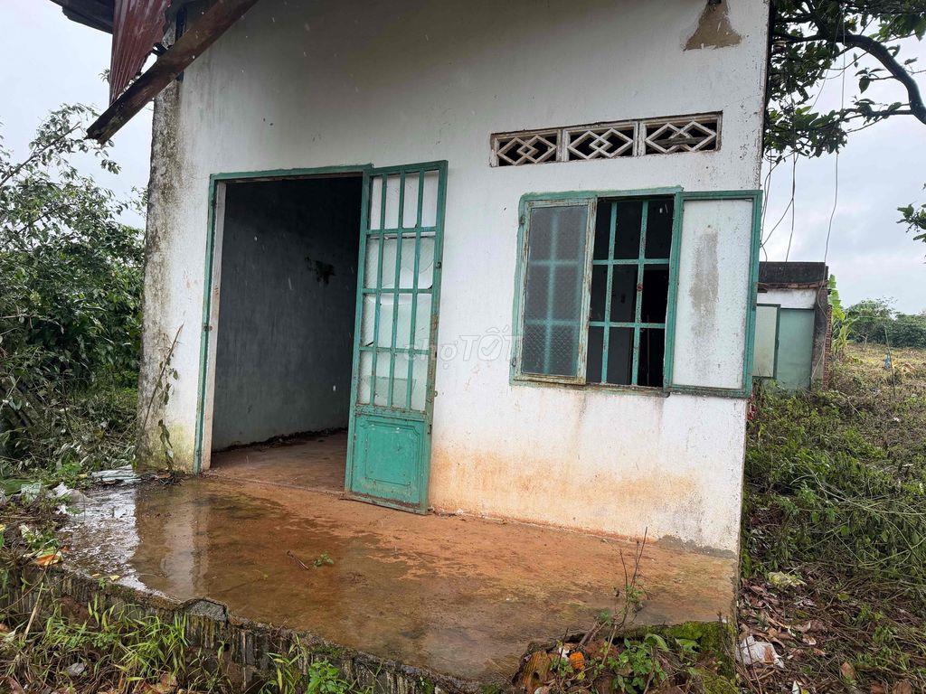 Bán đất cà phê con nhà cấp 4