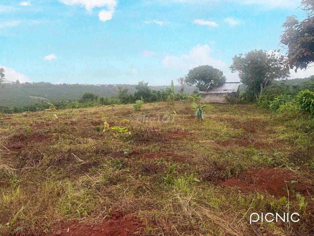 Bán đất cà phê con nhà cấp 4