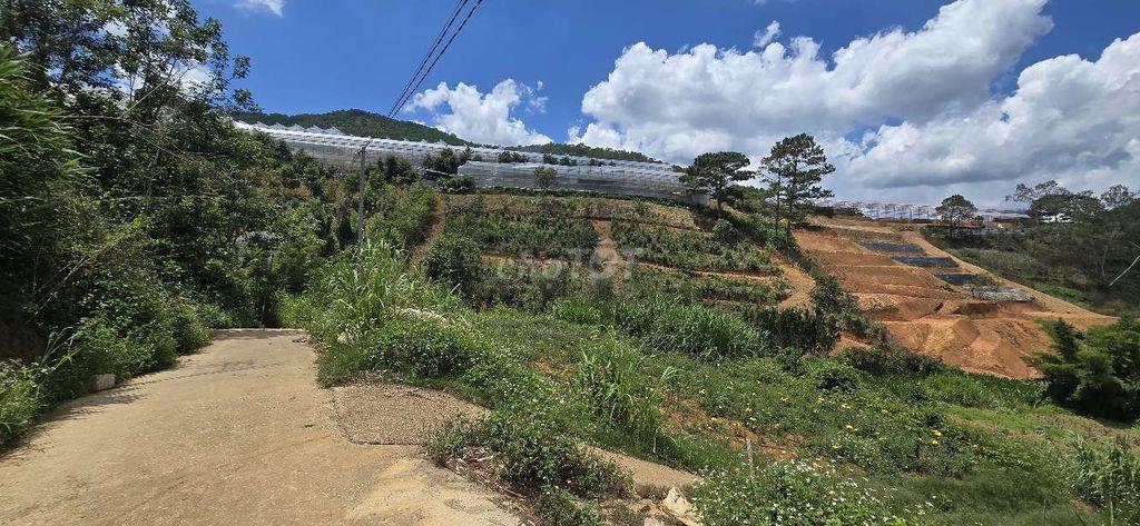 Bán đất gần trung tâm Đà Lạt