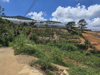Bán đất gần trung tâm Đà Lạt