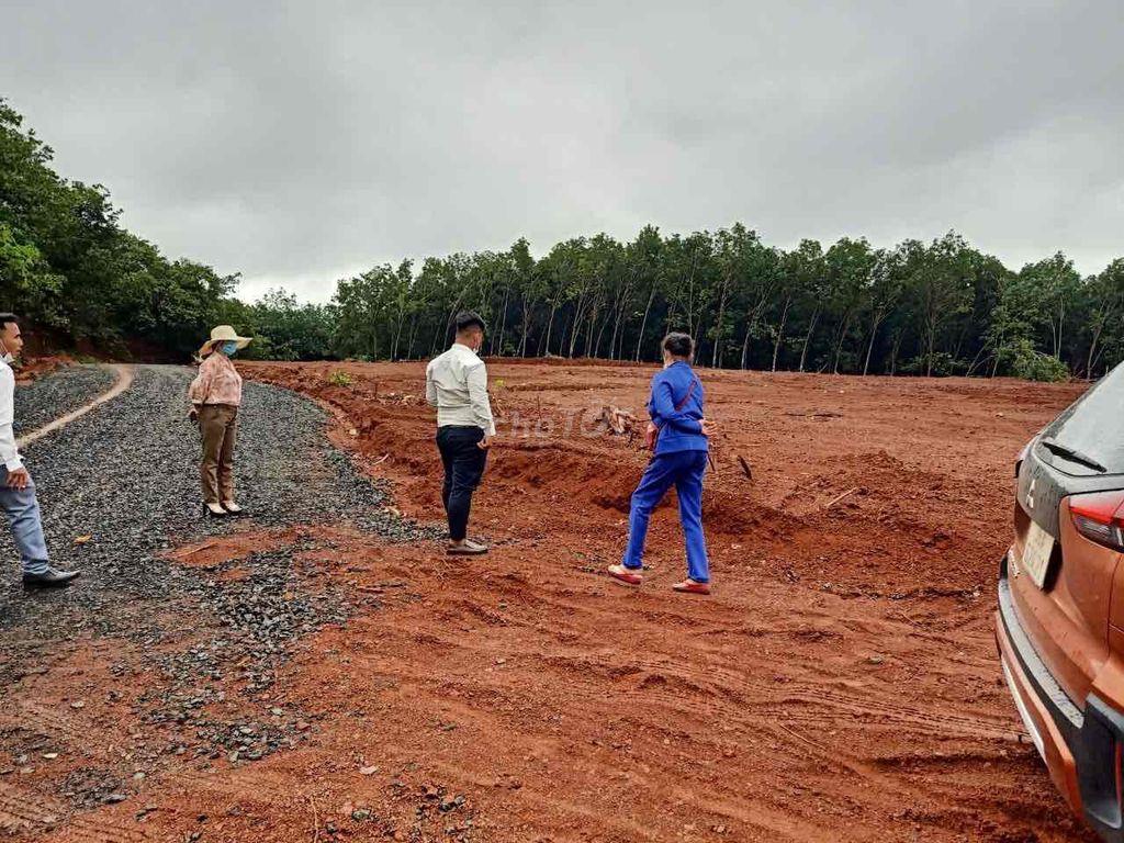 Tiếc lắm nhưng phải Bán Lỗ Gấp mảnh đất 1000m2
