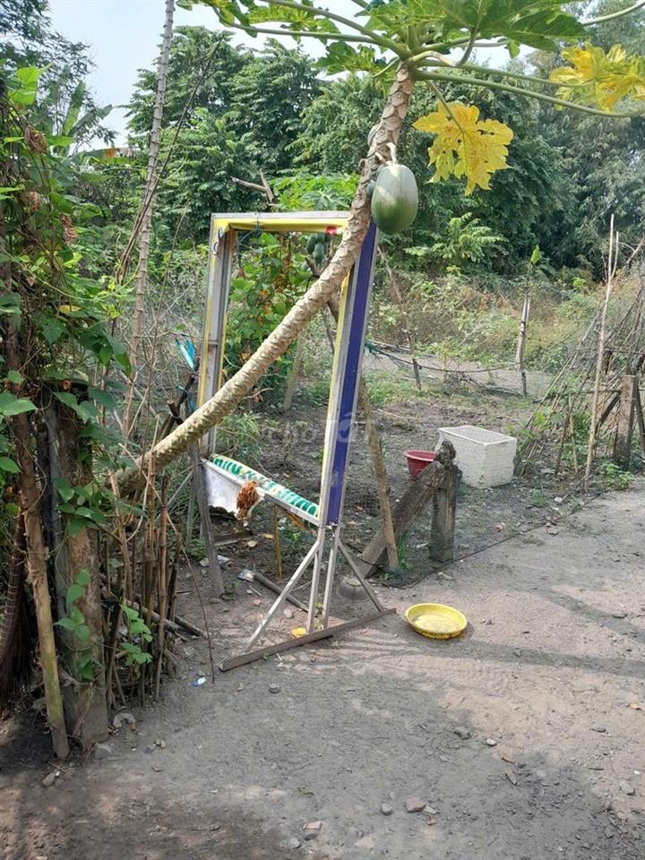 81M² ĐẤT – 580 TRIỆU