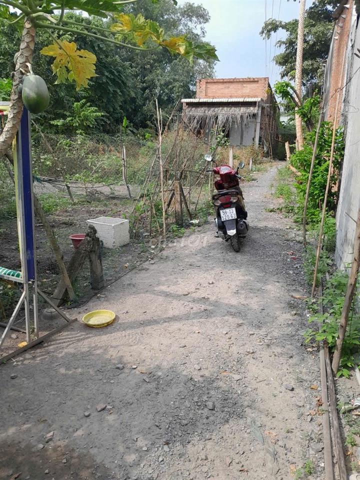 81M² ĐẤT – 580 TRIỆU