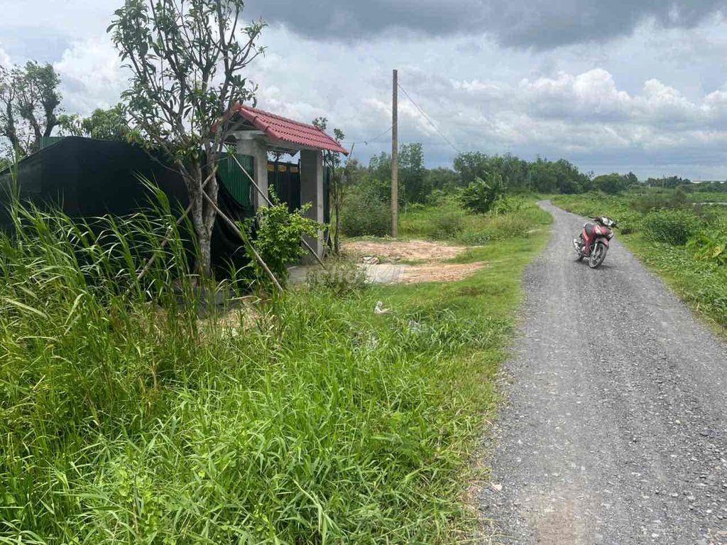 nhà vườn khu nghỉ dưỡng