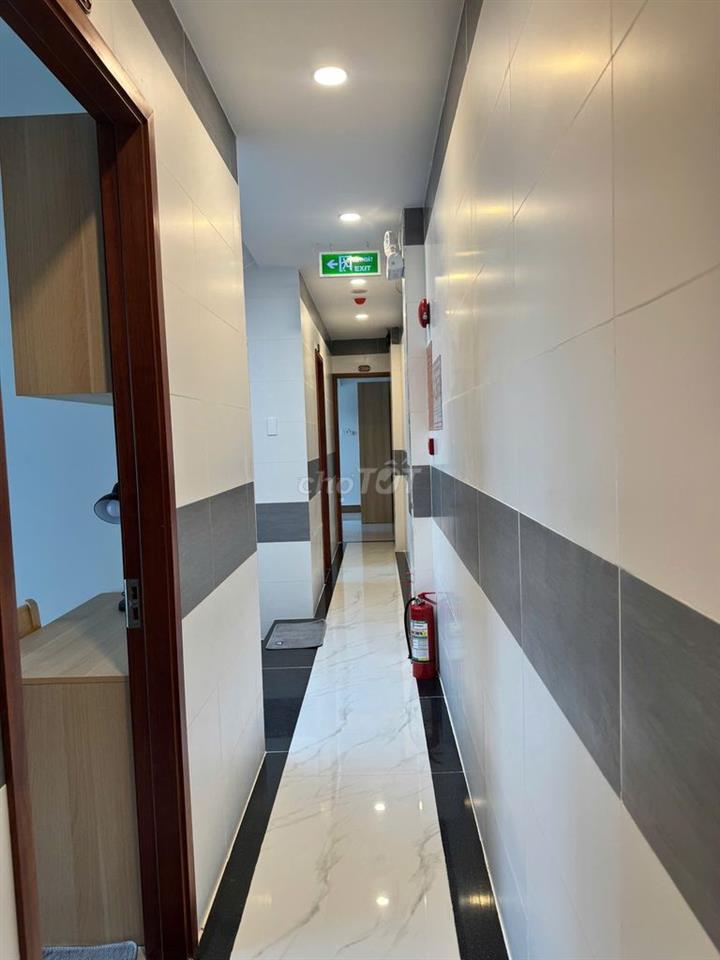🤫 STUDIO "BÓC SEAL" DƯƠNG QUẢNG HÀM: MÁY GIẶT RIÊNG, CỬA SỔ TRỜI